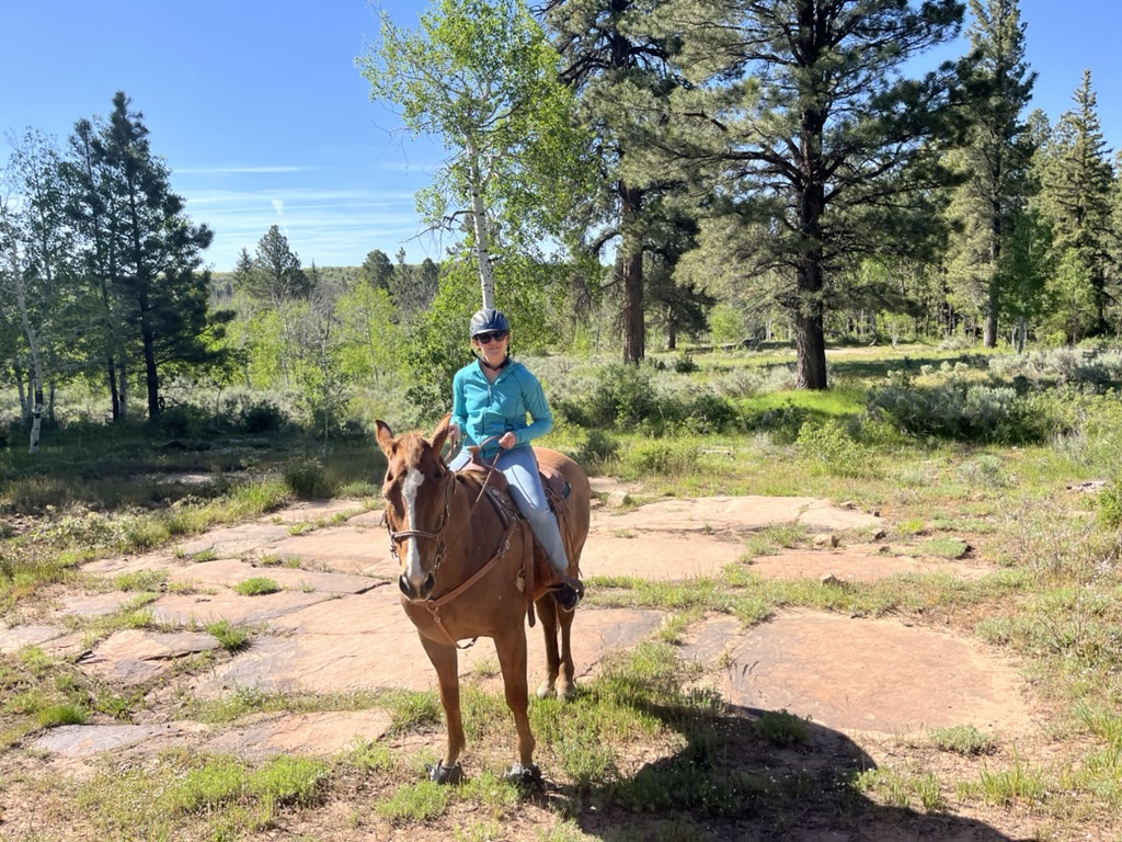 Rider seated on a horse on a rocky trail at the beginning of an experience