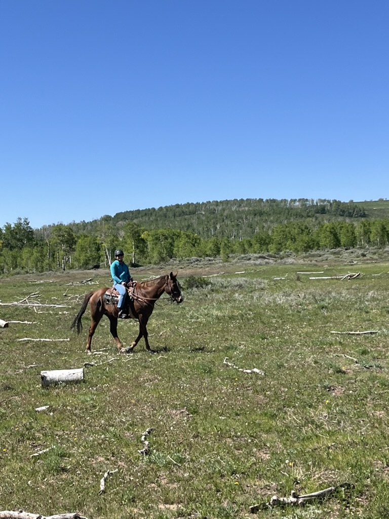 Horseback rider in a wide open meadow